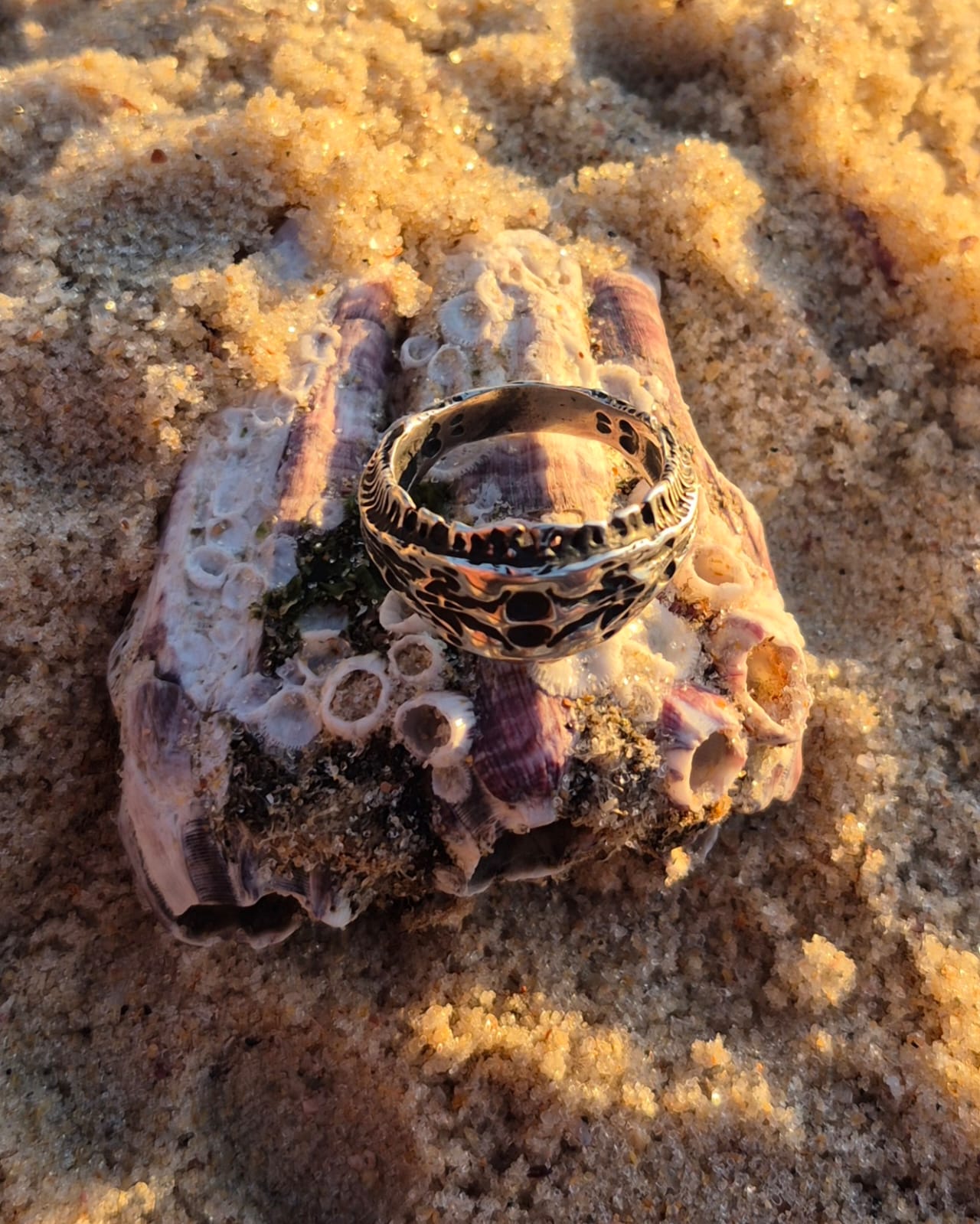 ABYSSAL OSTEON - Vista 4