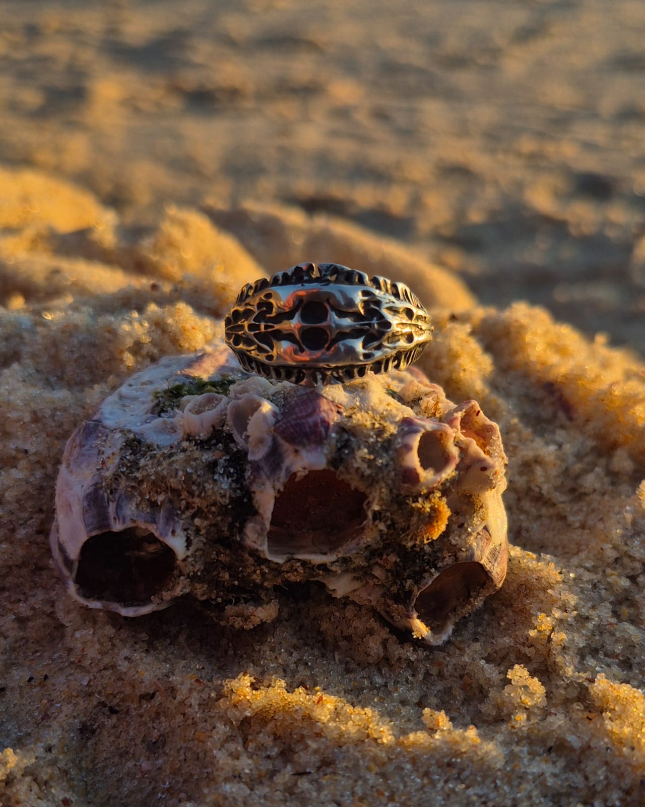 ABYSSAL OSTEON - Vista 5