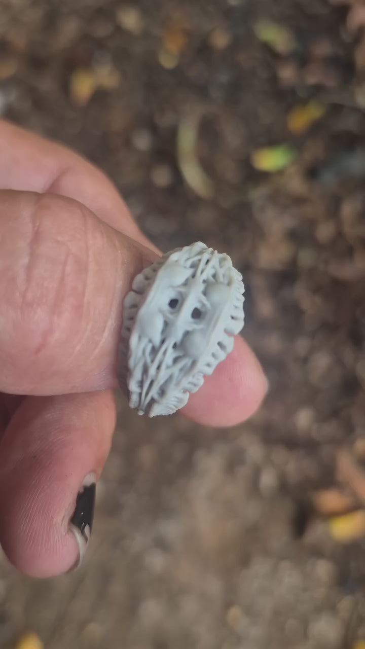 ABYSSAL OSTEON