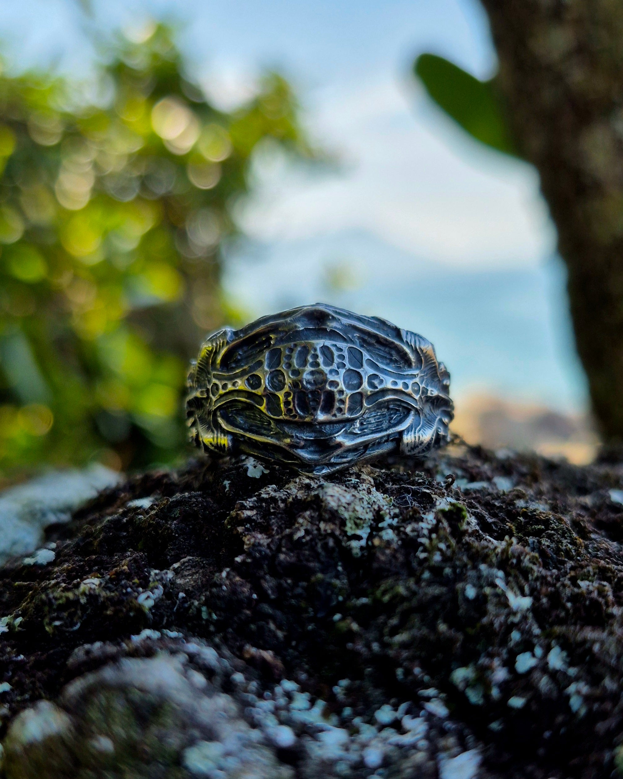 ANEL - VISCERA SHELL