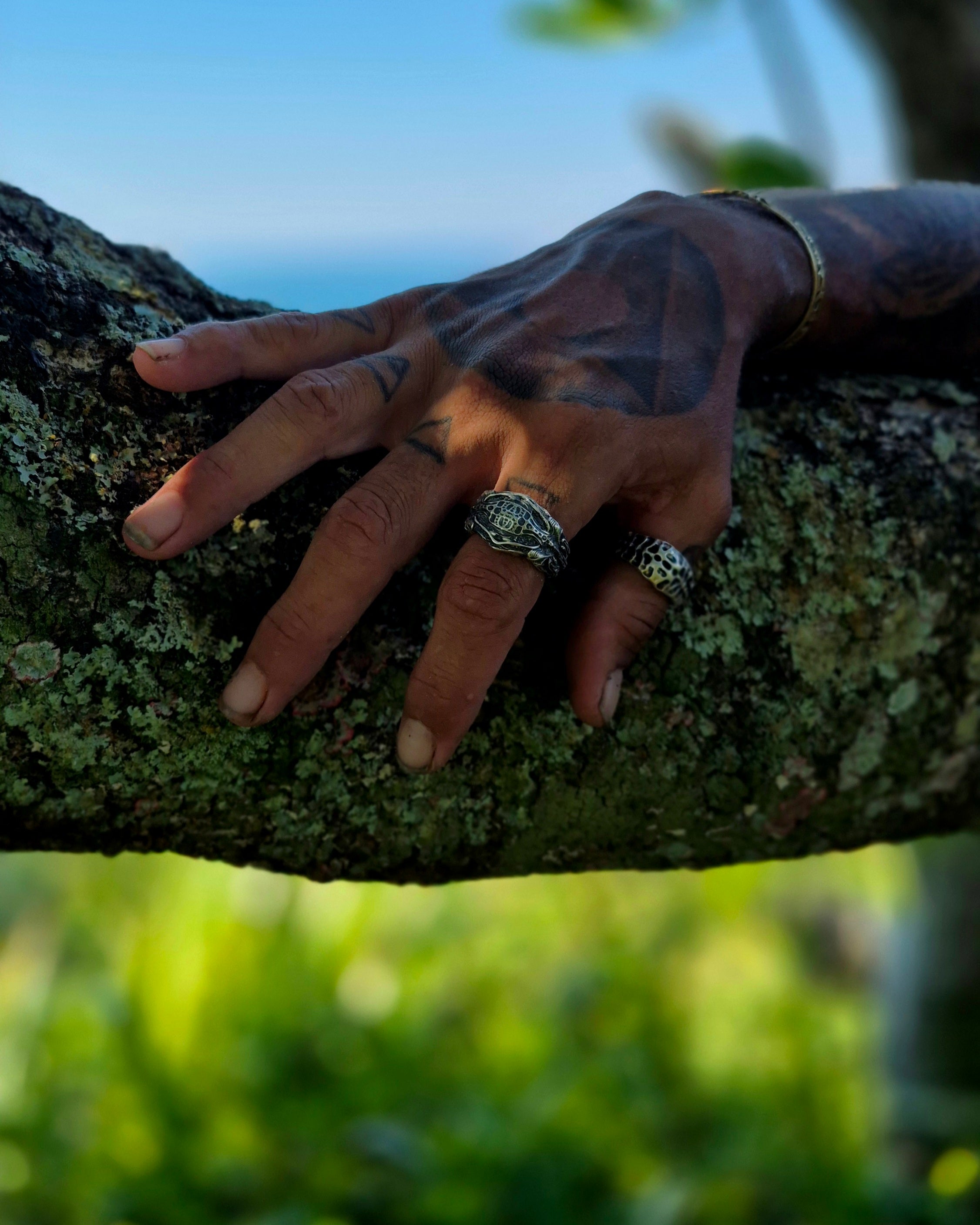 ANEL - VISCERA SHELL