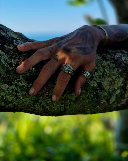 ANEL - VISCERA SHELL