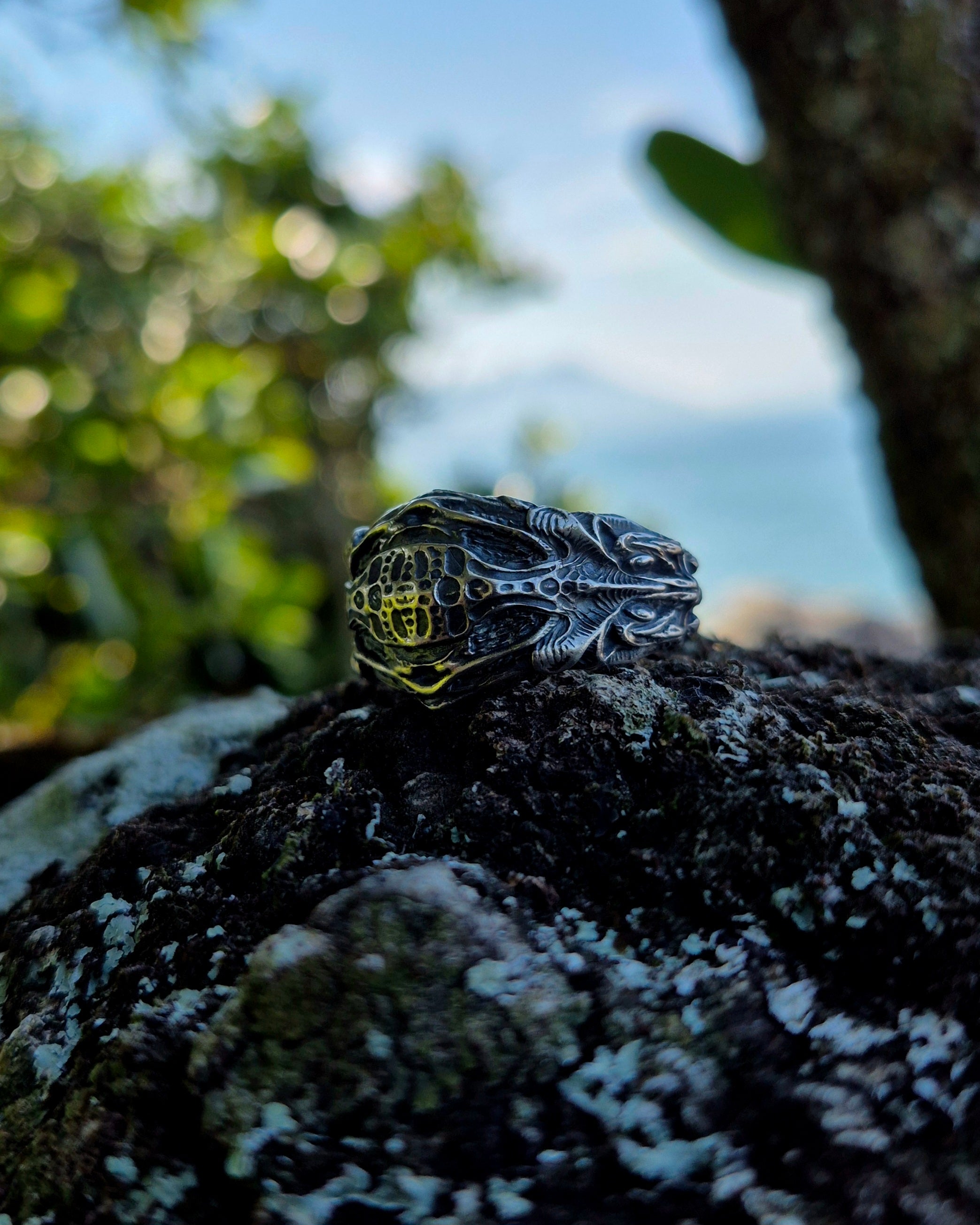 ANEL - VISCERA SHELL