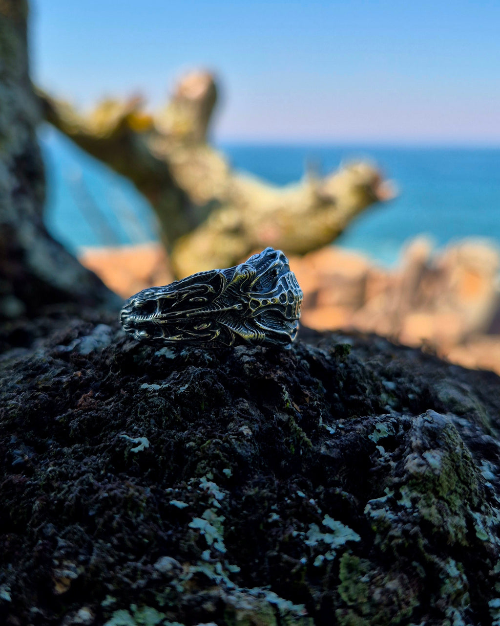 ANEL - VISCERA SHELL