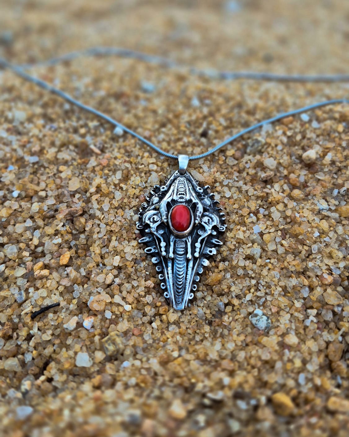 RUBRUM CORALLIS - Vista 3