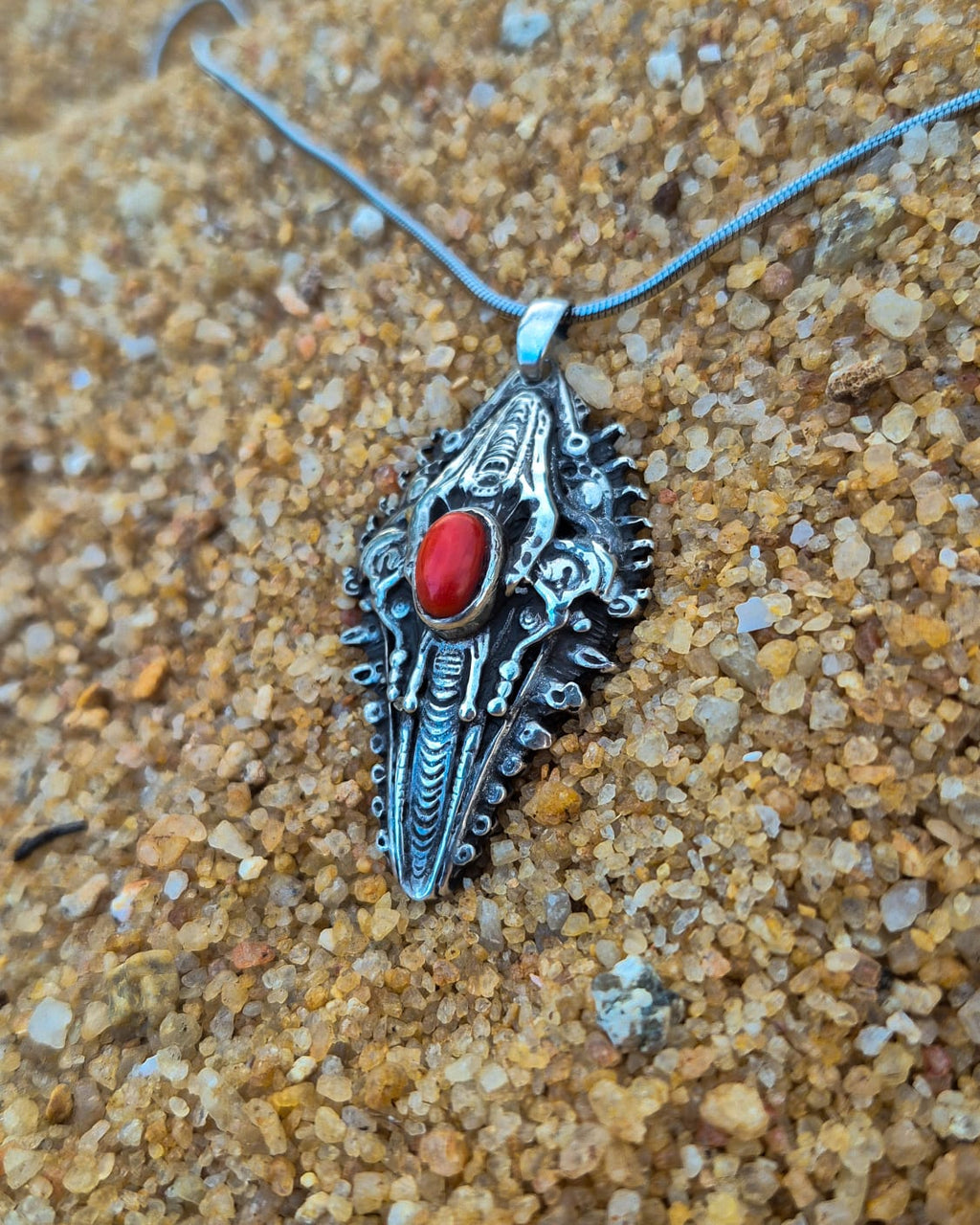 RUBRUM CORALLIS - Vista 4