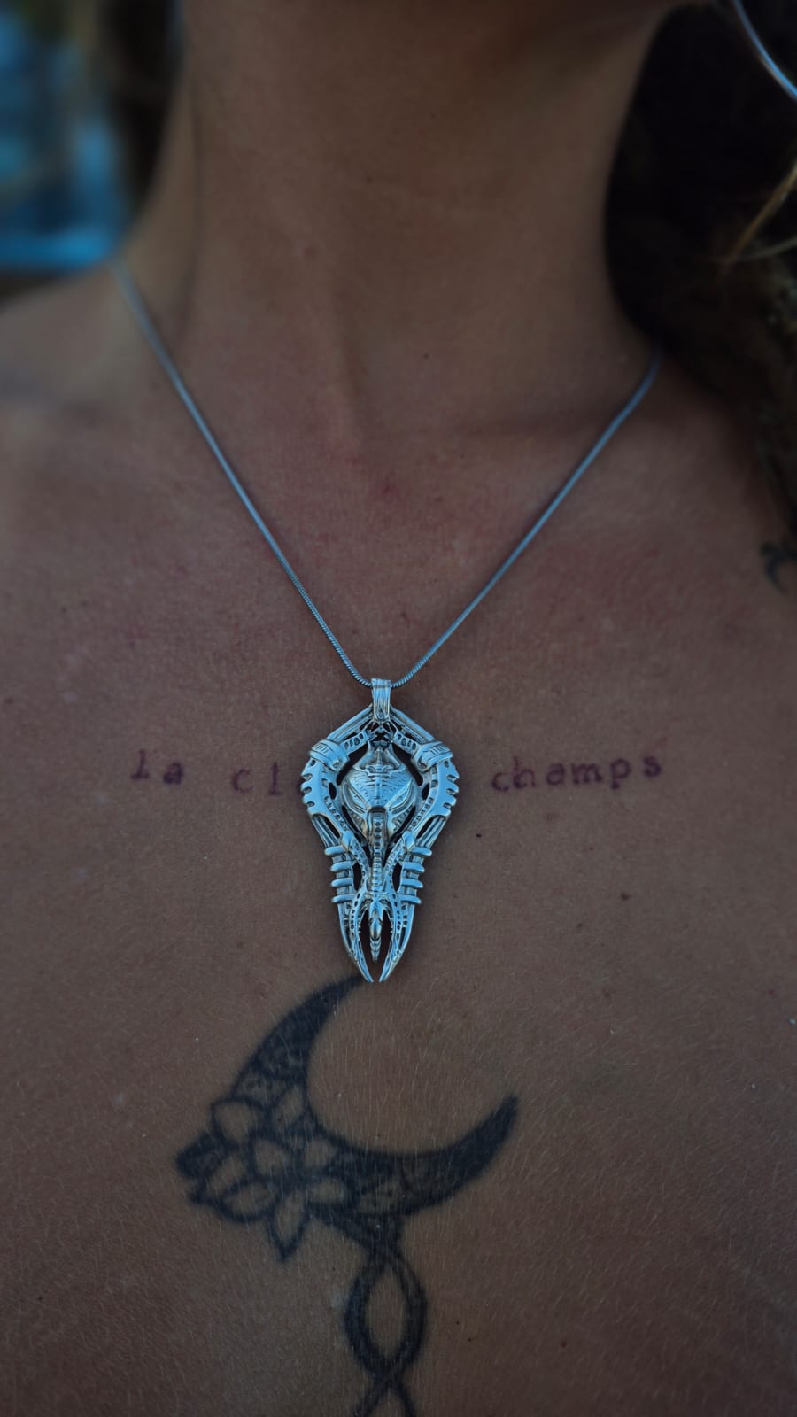 THORAX SENTINEL - Vista 3