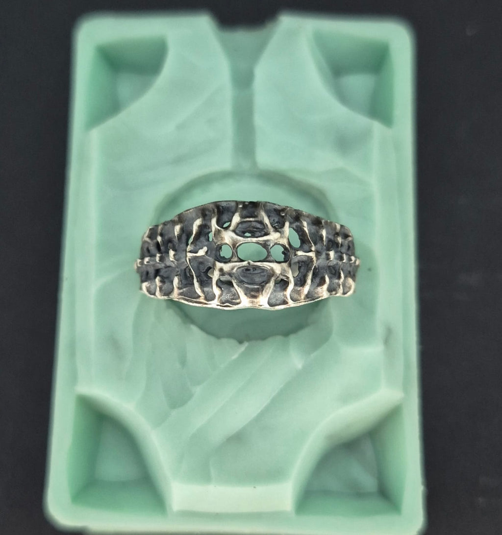 VERTEBRAE NEXUS - Vista 2