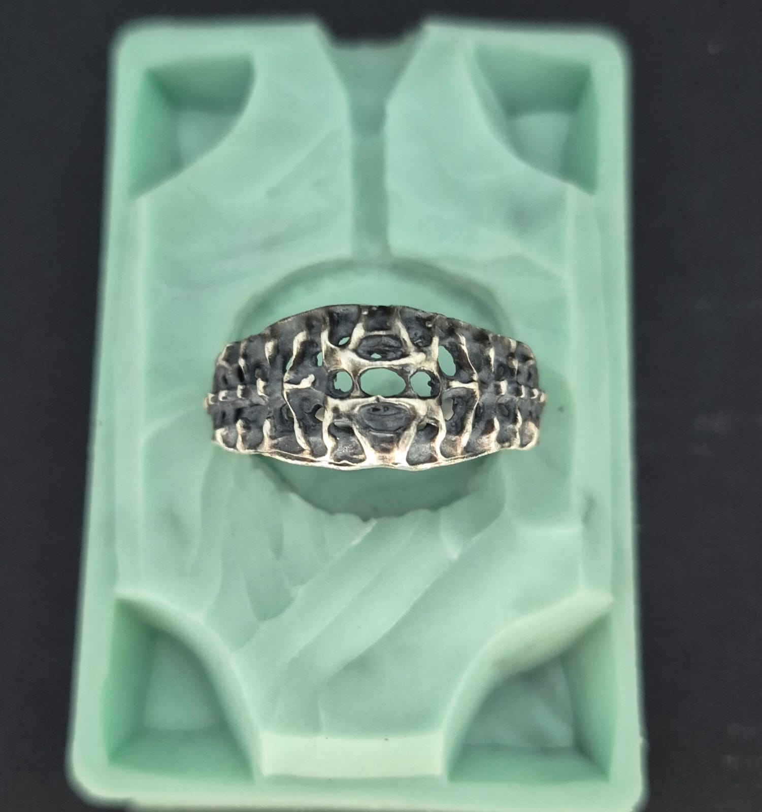 VERTEBRAE NEXUS - Vista 2