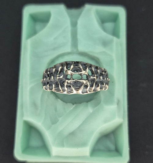 VERTEBRAE NEXUS - Vista 2