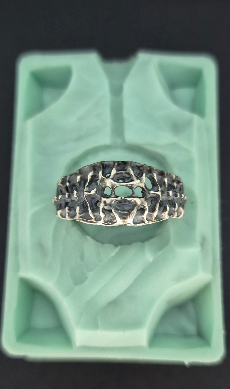 VERTEBRAE NEXUS - Vista 3