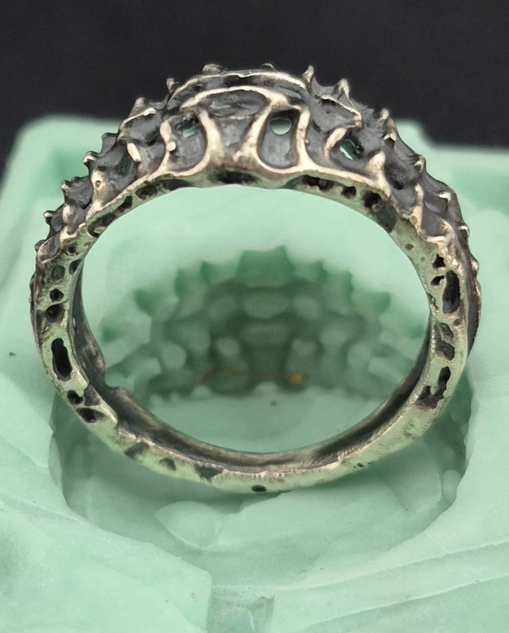 VERTEBRAE NEXUS - Vista 4