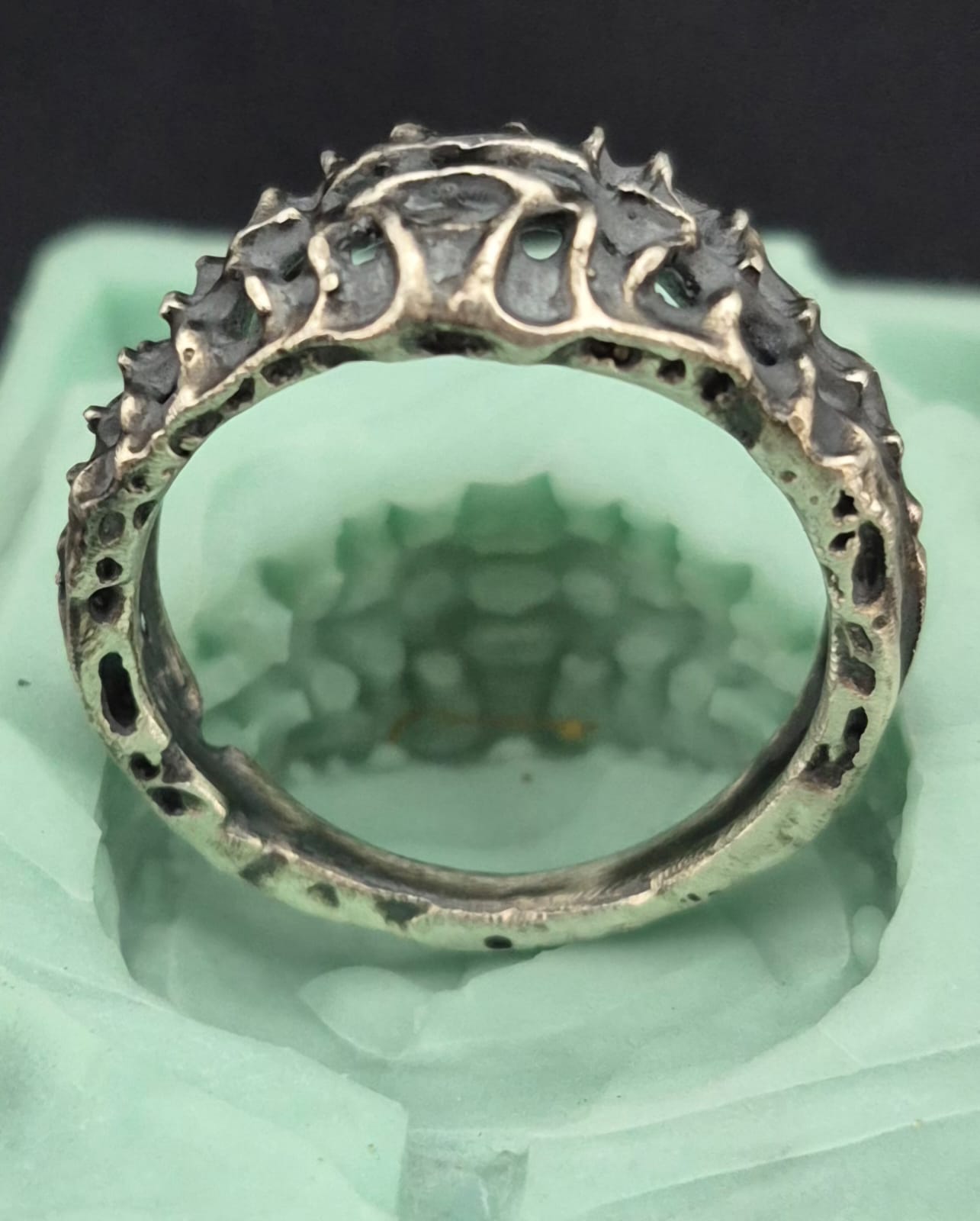 VERTEBRAE NEXUS - Vista 4