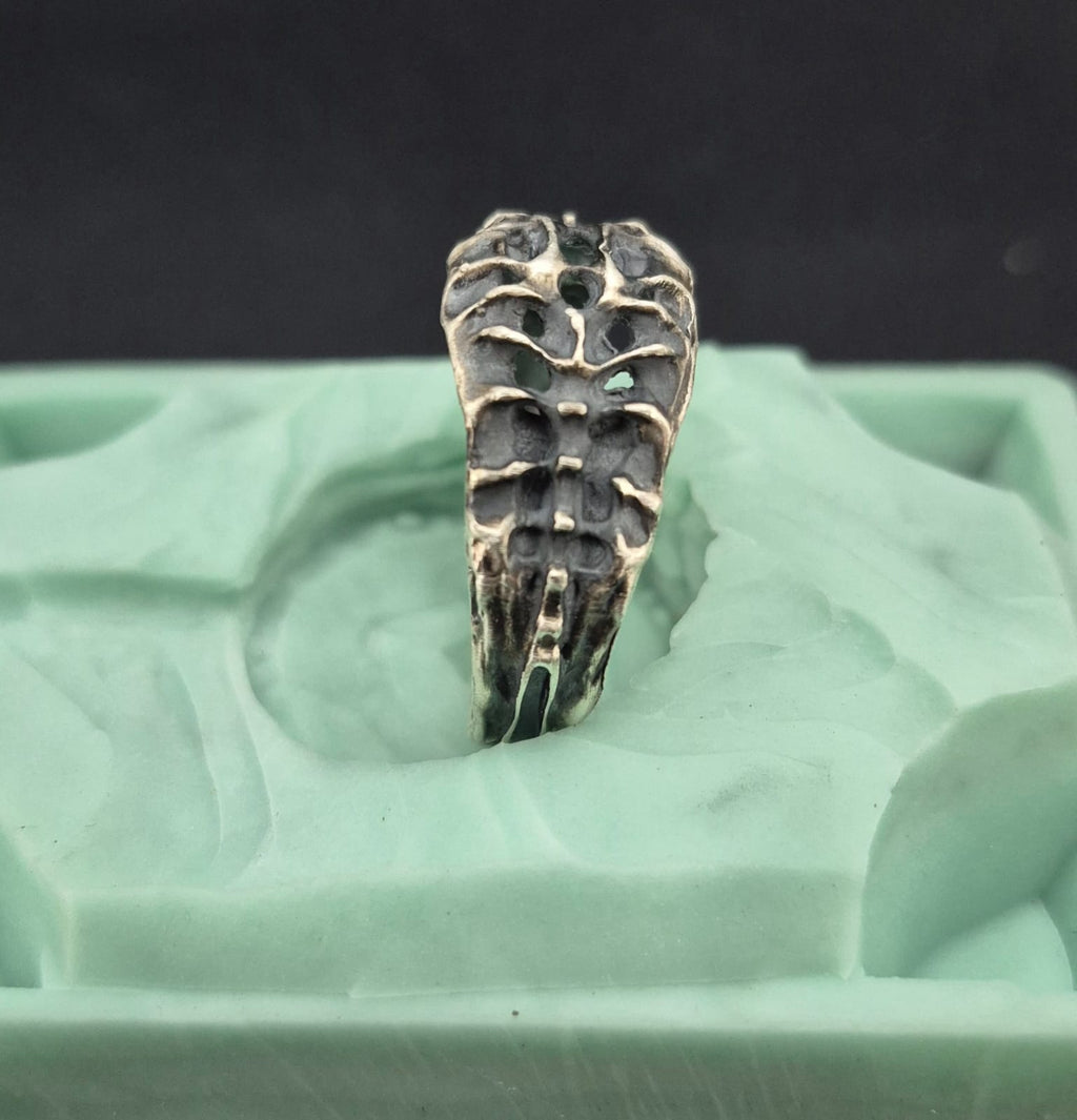 VERTEBRAE NEXUS - Vista 5