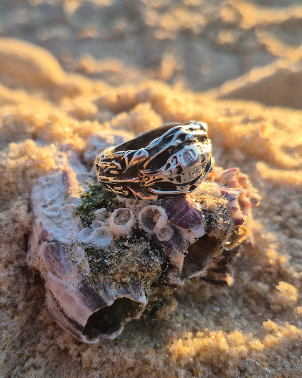 VISCERA SHELL - Vista 2