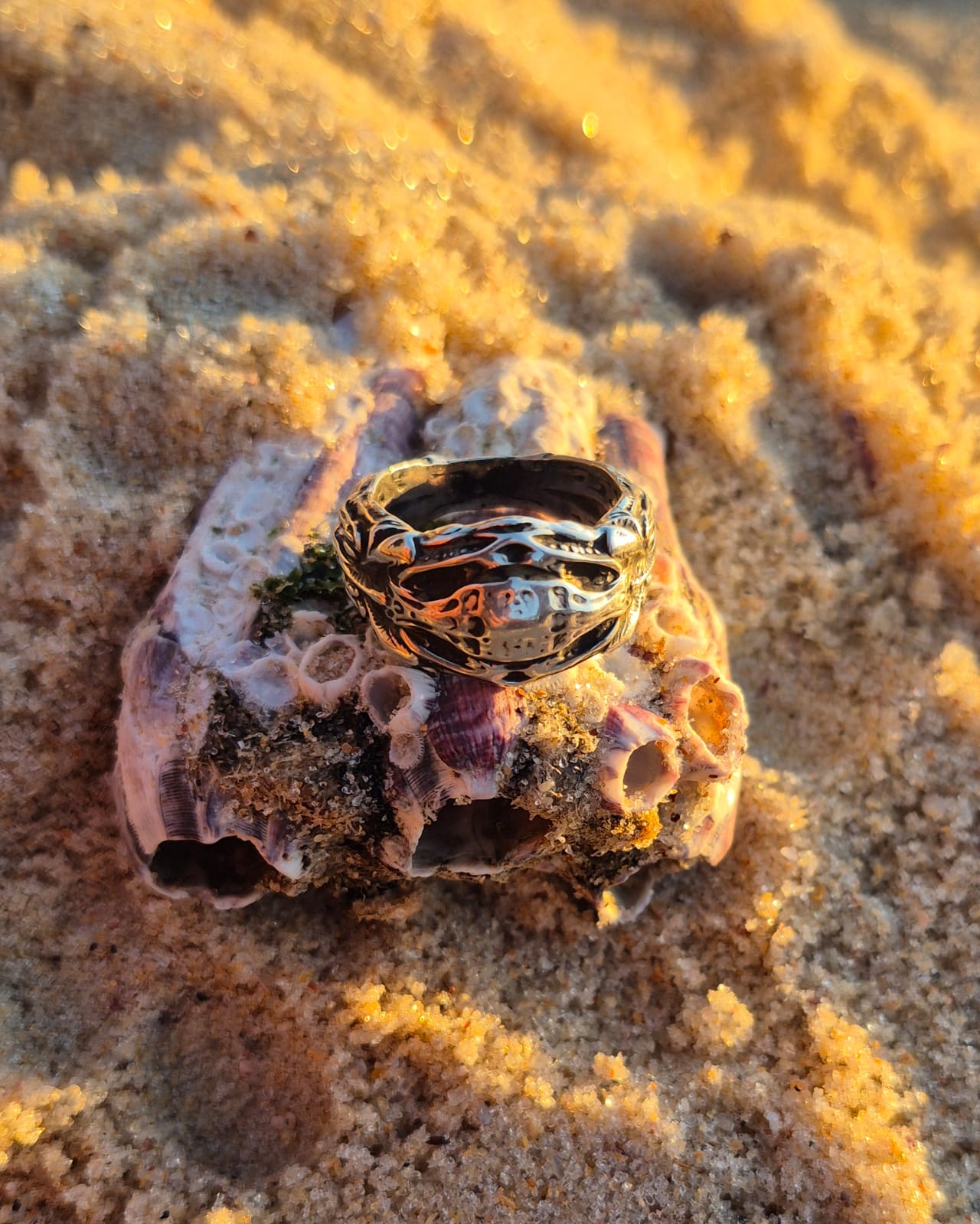 VISCERA SHELL - Vista 3