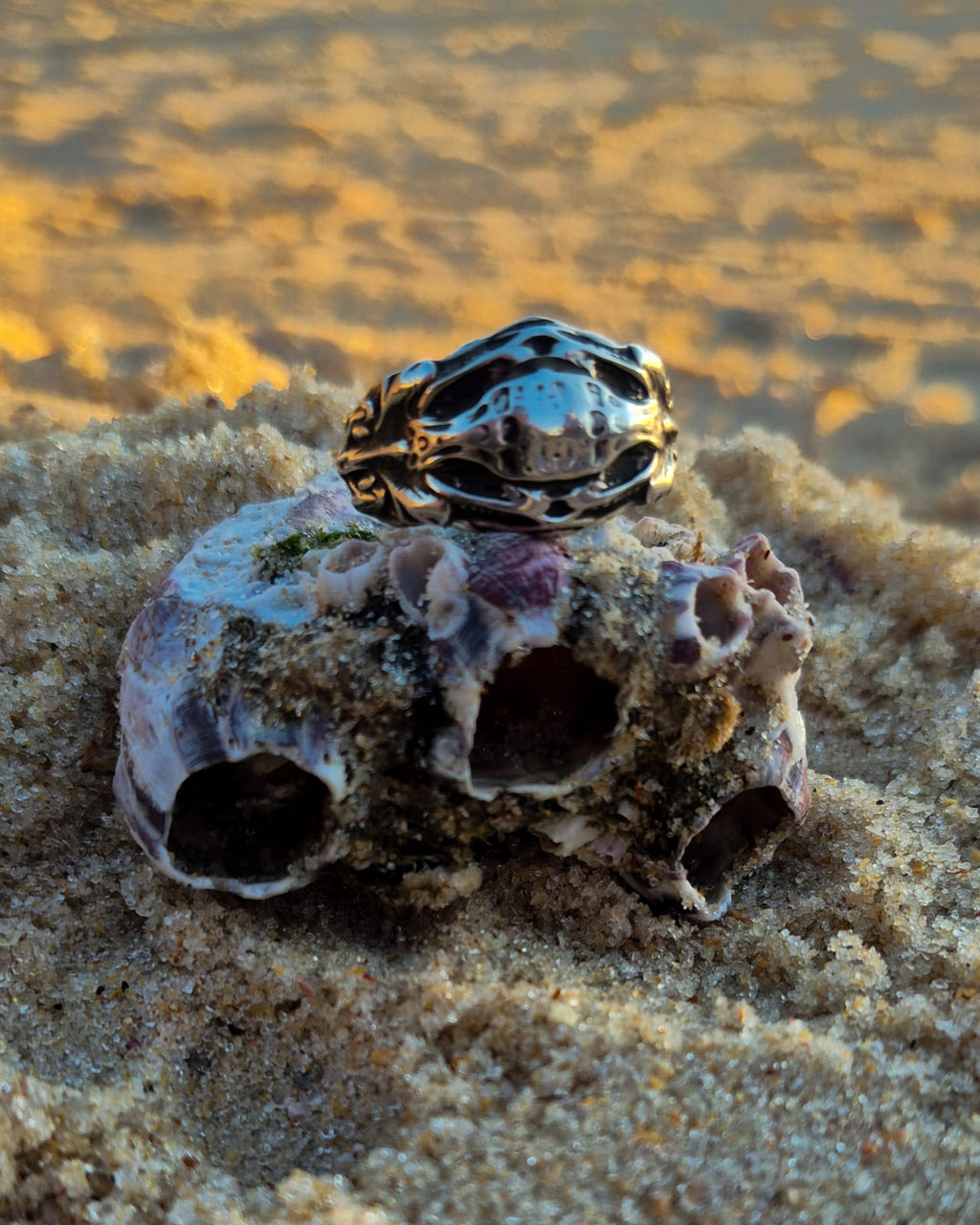 VISCERA SHELL - Vista 4