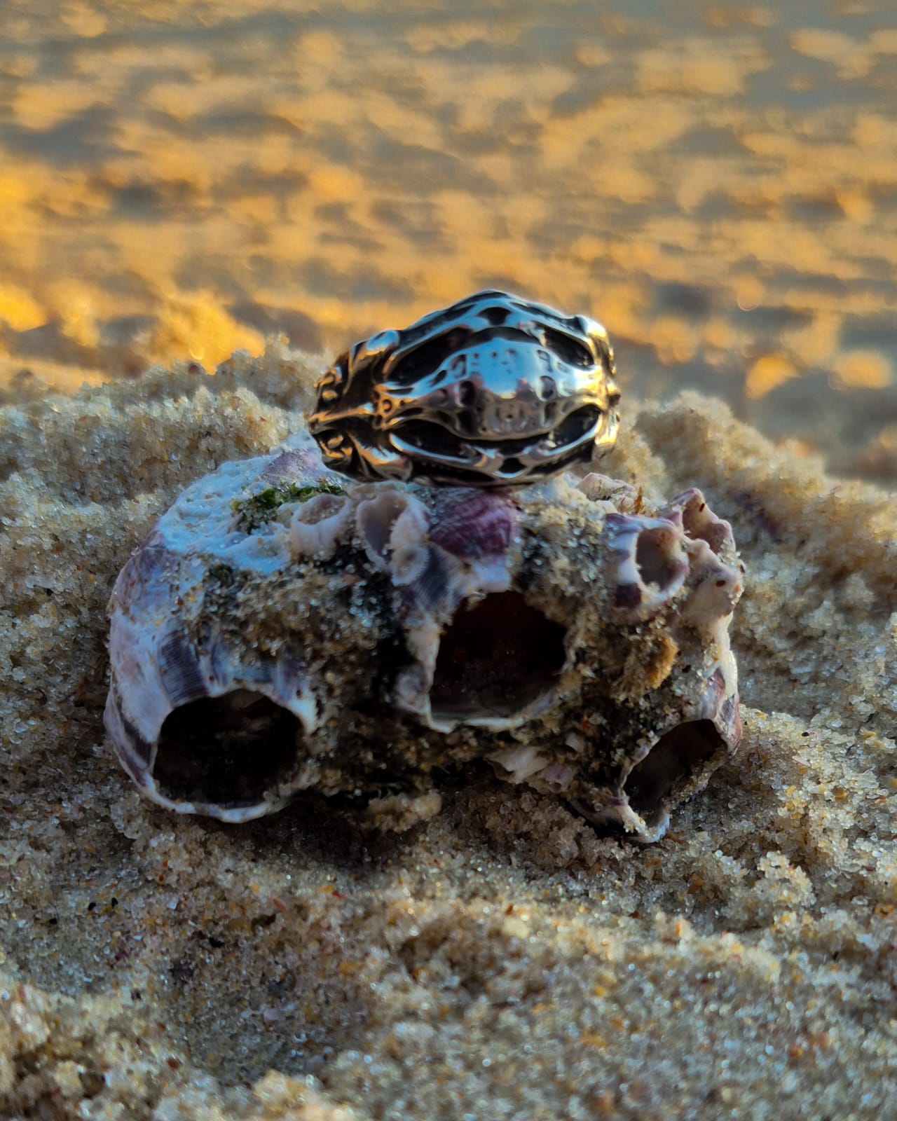 VISCERA SHELL - Vista 4