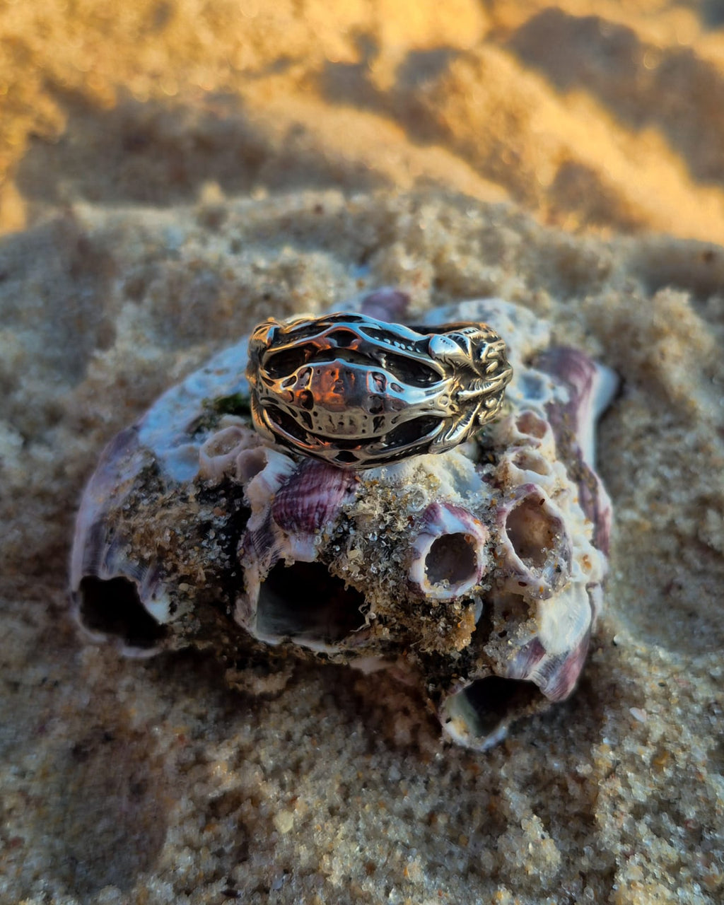 VISCERA SHELL - Vista 5