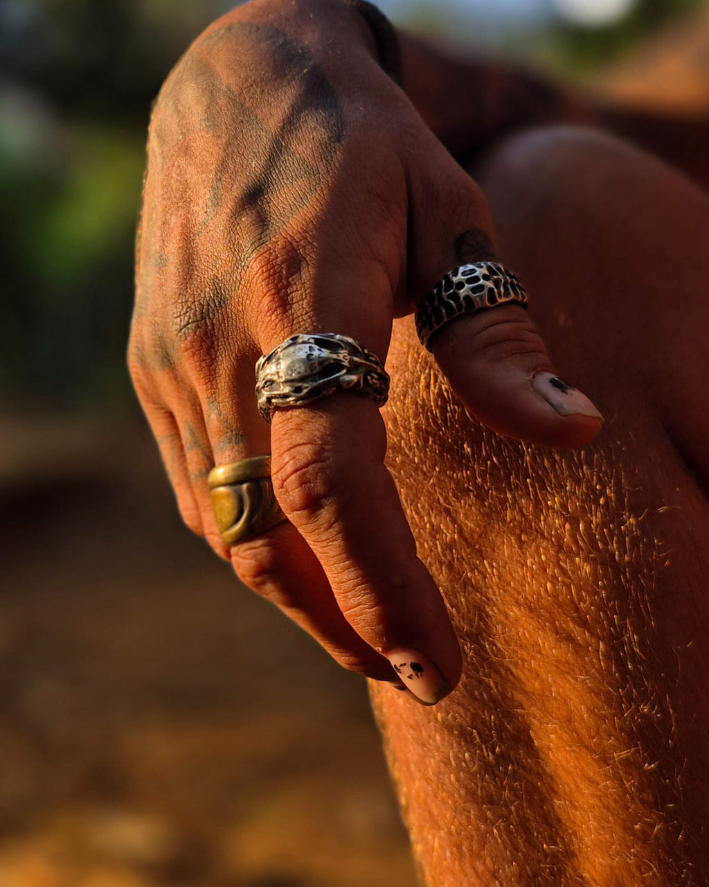 VISCERA SHELL - Vista principal